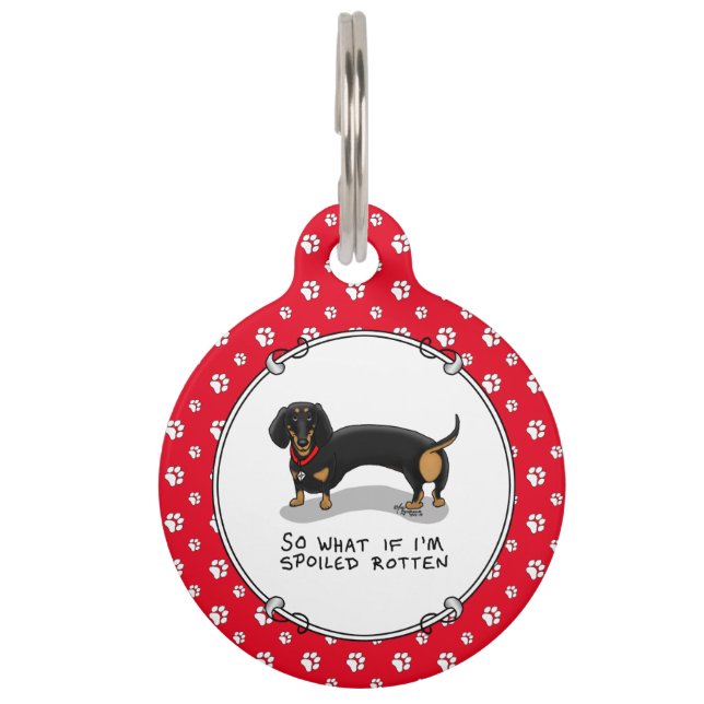 Médaillon Pour Animaux Dachshund gâté à l'os (S noir et feu) Chien mignon (Devant)