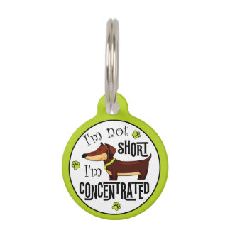 Médaillon Pour Animaux Dachshund Pas Petit Je Suis Concentré 