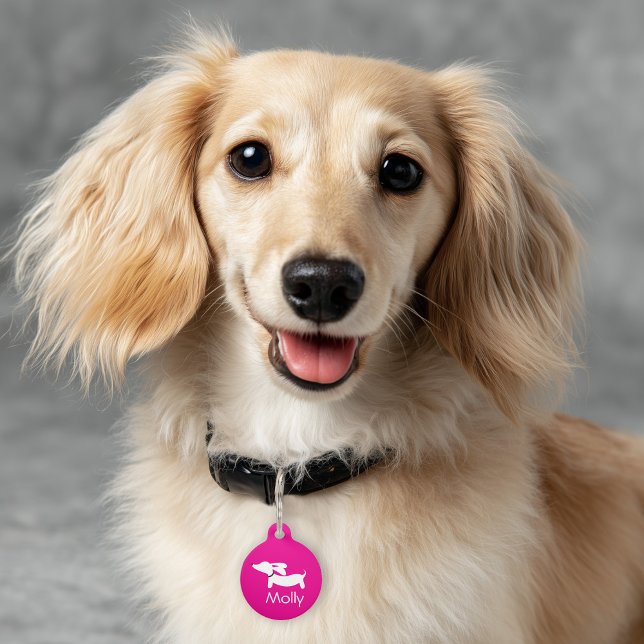 Médaillon Pour Animaux Dachshund Pink Charm Nom personnalisé Contact (Pink dachshund ID tag for wiener dogs)