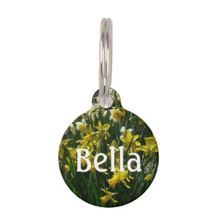 Médaillon Pour Animaux Daffodiles jaunes et blancs Fleurs de printemps
