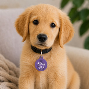 Médaillon Pour Animaux Demande en mariage