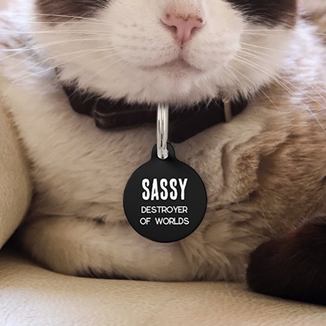 Médaillon Pour Animaux Destructeur de mondes chat drôle (Créateur téléchargé)