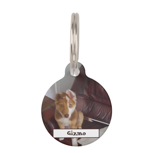 Médaillon Pour Animaux Détails de l'animal et photo (Devant)