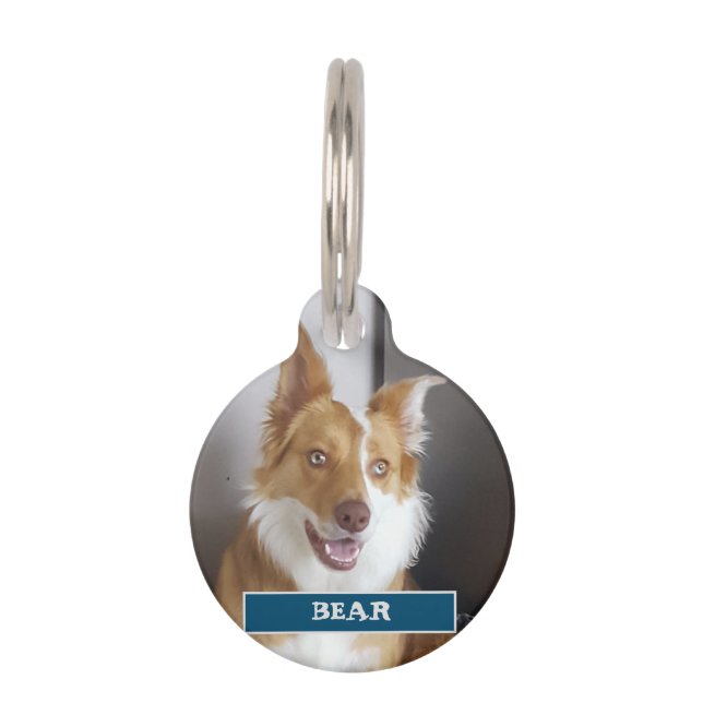 Médaillon Pour Animaux Détails de l'animal et photo (Devant)