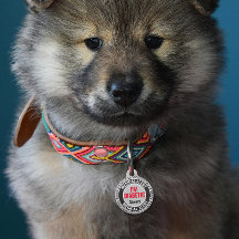 Diabétique Pet Alerte Médicale Nom personnalisé Gr