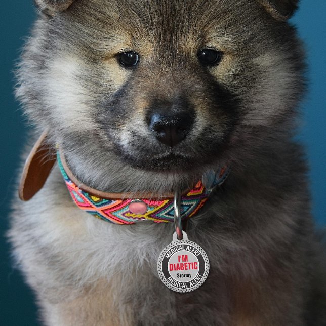 Médaillon Pour Animaux Diabétique Pet Alerte Médicale Nom personnalisé Gr (Créateur téléchargé)