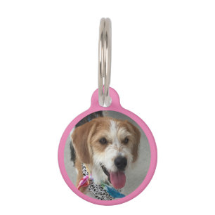 Médaillon Pour Animaux do-it-yourself photo en cercle, nom & info, rose