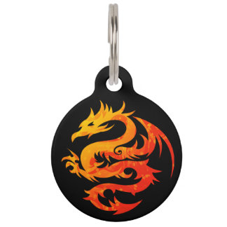 MÉDAILLON POUR ANIMAUX DRAGON ARDENT