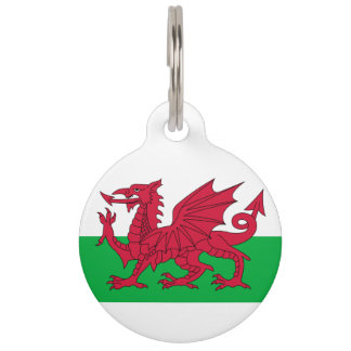 Médaillon Pour Animaux Dragon de Gallois