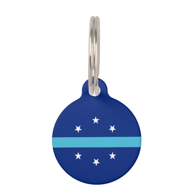 Médaillon Pour Animaux Drapeau d'Anaheim, Californie (Devant)