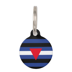 Médaillon Pour Animaux Drapeau de fierté cuir queer