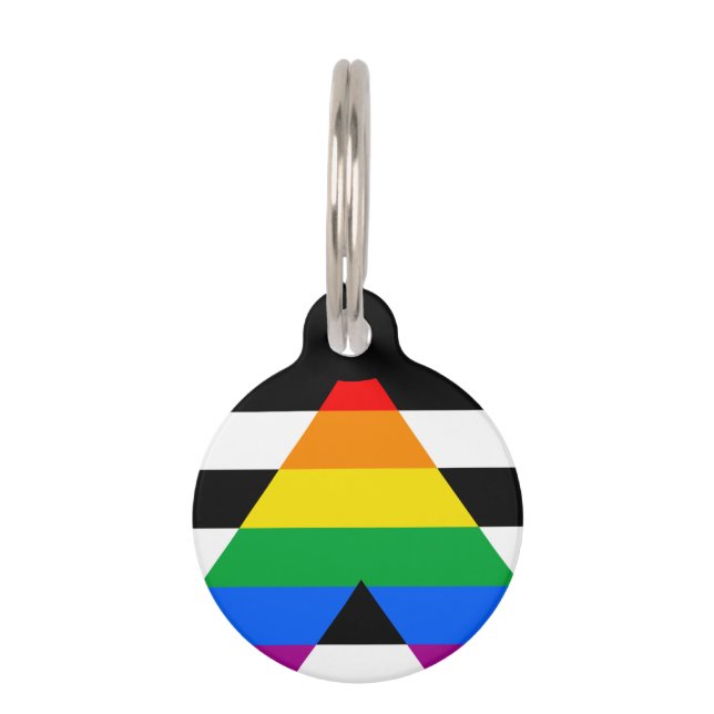 Médaillon Pour Animaux Drapeau de l'allié LGBTQ+ (Devant)
