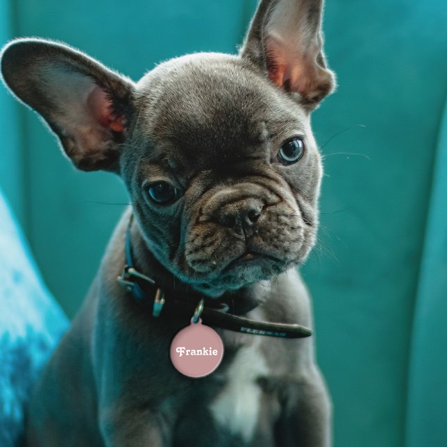Médaillon Pour Animaux Dusty Mauve Retro (Créateur téléchargé)