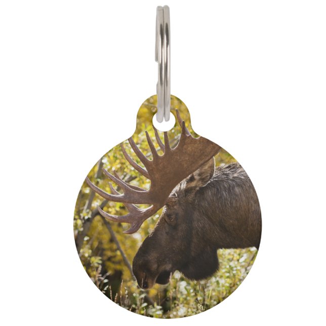 Médaillon Pour Animaux Élan Noble Mâle (Devant)
