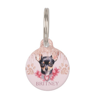 Médaillon Pour Animaux Elégant Chihuahua Chien avec Parties scintillant P