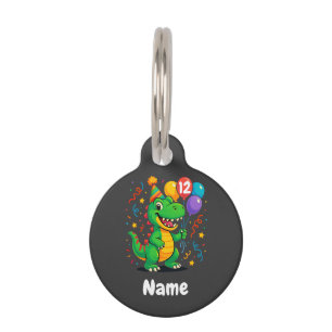 Médaillon Pour Animaux Enfants Dino Anniversaire Personnalisés