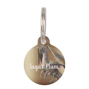 Médaillon Pour Animaux Étiquette de chien/chat perdu en bronze dragon