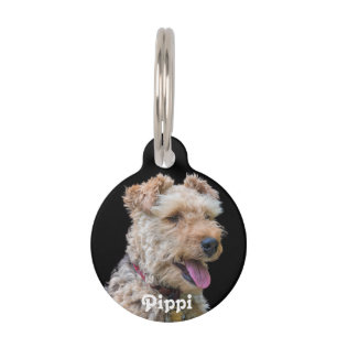 Médaillon Pour Animaux Étiquette de chien de gallois Terrier