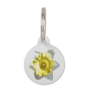 Médaillon Pour Animaux Étiquette de chien Narcisse Blanc