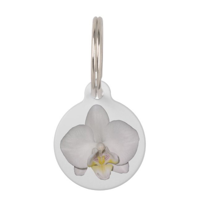 Médaillon Pour Animaux Étiquette de chien Orchidée Blanche (Devant)
