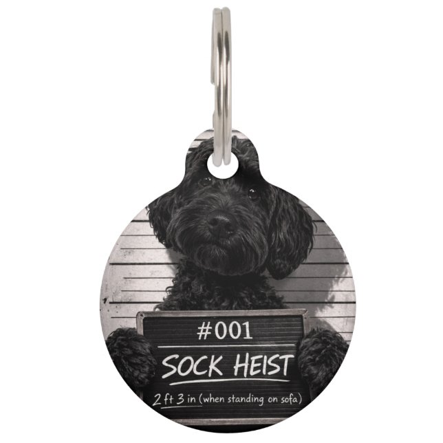 Médaillon Pour Animaux Étiquette de compagnie de Cockapoo drôle Mugshot (Devant)
