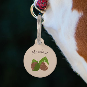 Médaillon Pour Animaux Étiquette de compagnie écureuil