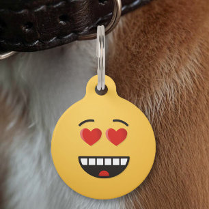 Médaillon Pour Animaux Étiquette de compagnon à visage souriant avec des
