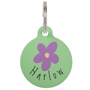 Médaillon Pour Animaux Étiquette d'identification de chien personnalisée