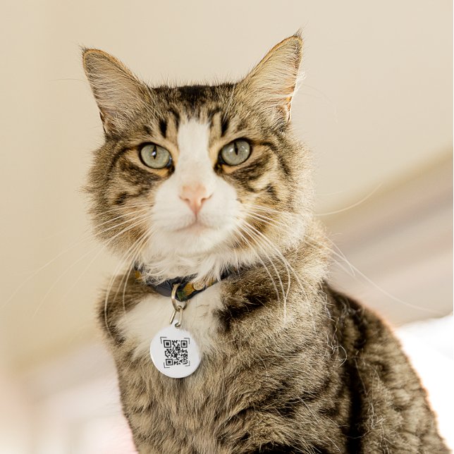 Médaillon Pour Animaux Étiquette d'identification de l'animal | Code QR à (Créateur téléchargé)