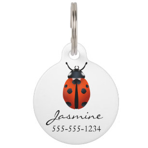 Médaillon Pour Animaux Étiquette d'identification de l'animal de compagn