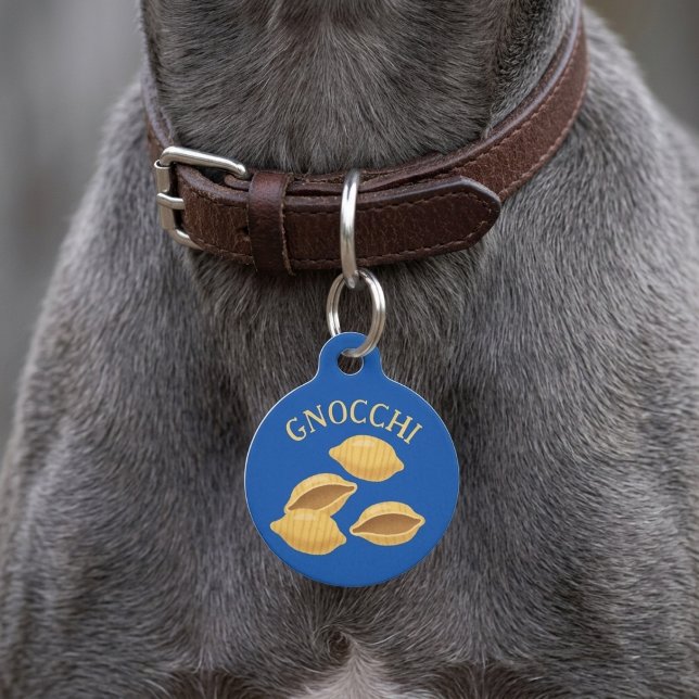 Médaillon Pour Animaux Étiquette d'identification personnalisée pour chie (Créateur téléchargé)