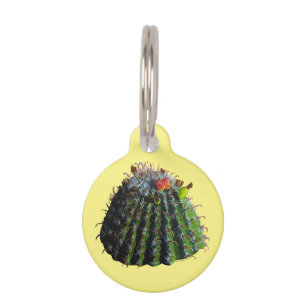 Médaillon Pour Animaux Étiquette pour animal de compagnie rond Cactus