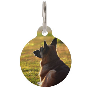 Médaillon Pour Animaux Étiquettes commémoratives d'animal familier de