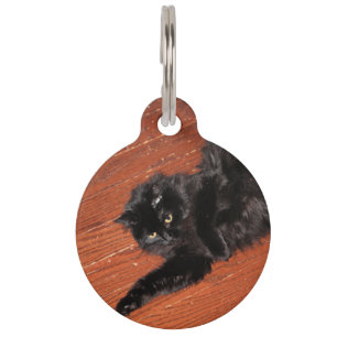 Médaillon Pour Animaux Étirer