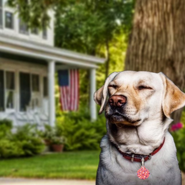 Médaillon Pour Animaux Étoiles de drapeau (Get Fido in on the patriotic fun, with his or her own Flag Stripes Pet ID Tag!)