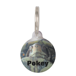 Médaillon Pour Animaux Face de tortue