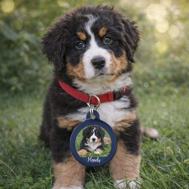 Médaillon Pour Animaux Faites votre propre nom de photo de chien coordonn (Make your own dog photo name contact information pet tag. )