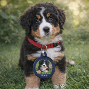 Médaillon Pour Animaux Faites votre propre photo de chien nom information