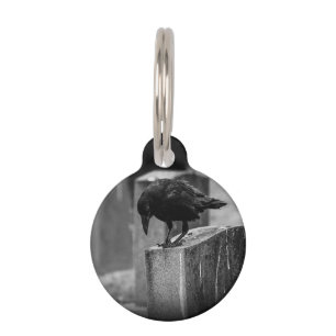 Médaillon Pour Animaux Falln Cemetery Crow