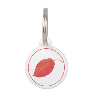 Médaillon Pour Animaux Feuille d'automne rouge minimaliste et infos sur l