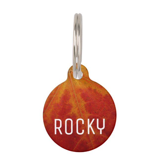 Médaillon Pour Animaux Feuille d'érable rouge Abstraite Automne Photograp (Devant)