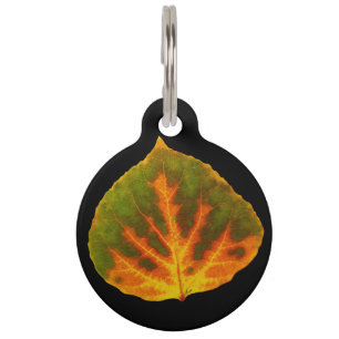 Médaillon Pour Animaux Feuille orange et jaune verte #1 d'Aspen