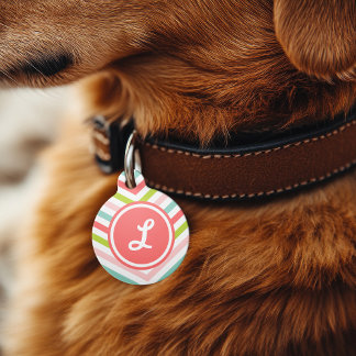 Médaillon Pour Animaux Flèche colorée Chevron Monogramme
