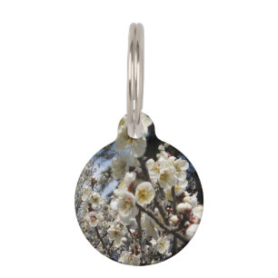 Médaillon Pour Animaux Fleur de cerisier blanc / Sakura / ク(桜)