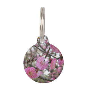 Médaillon Pour Animaux Fleur de cerisier rose / Sakura / ク(桜)