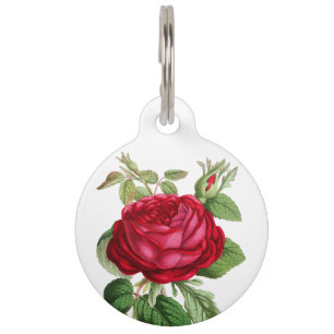 Médaillon Pour Animaux Fleur de rose rouge d'identification de l'animal 
