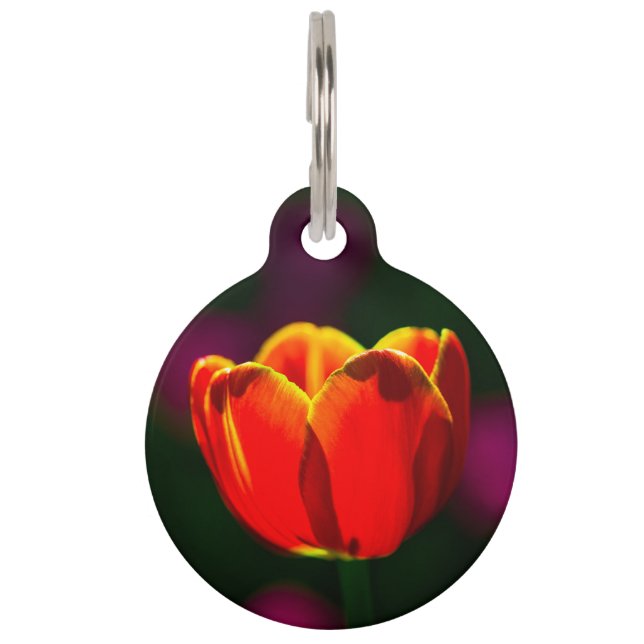Médaillon Pour Animaux Fleur de tulipe rouge (Devant)