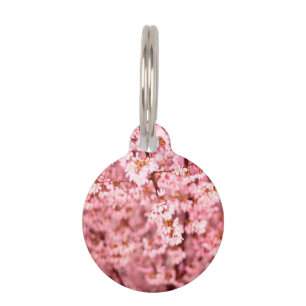Médaillon Pour Animaux Fleurs de cerisier de Sakura