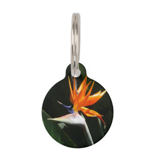 Médaillon Pour Animaux Flower tropical orange paradise