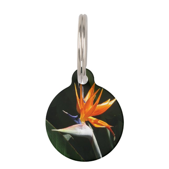 Médaillon Pour Animaux Flower tropical orange paradise (Devant)